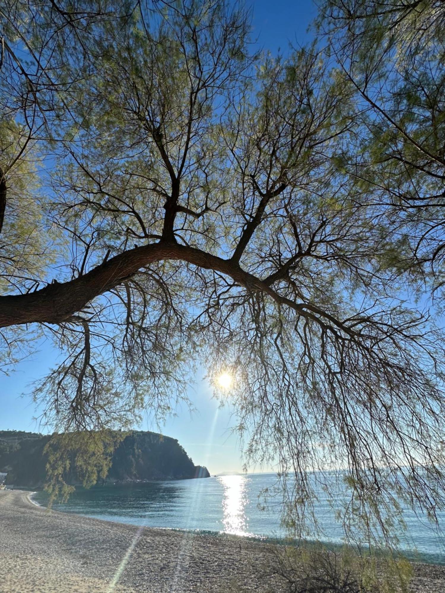 Potami Seashell Hotell Himare Exteriör bild
